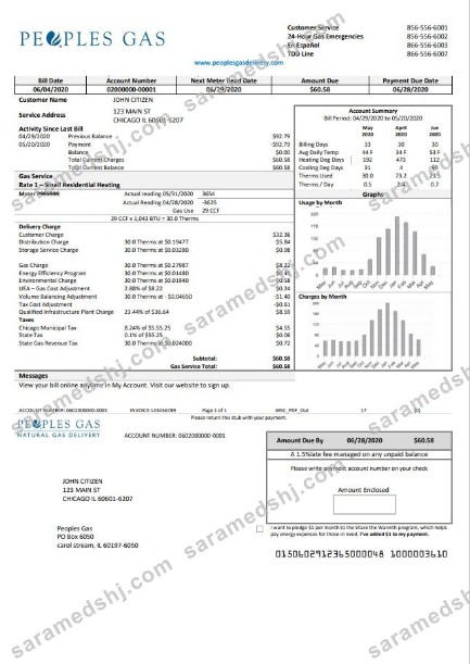 USA Illinois Peoples Gas utility bill template in Word and PDF format